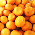 【ふるさと納税】愛媛の高級柑橘の代名詞!「せとか」約3.5kg入【C28-18】【1046129】