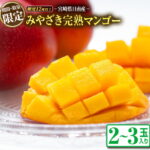 【ふるさと納税】≪期間・数量限定≫みやざき完熟マンゴー(2〜3玉)フルーツ 果物
